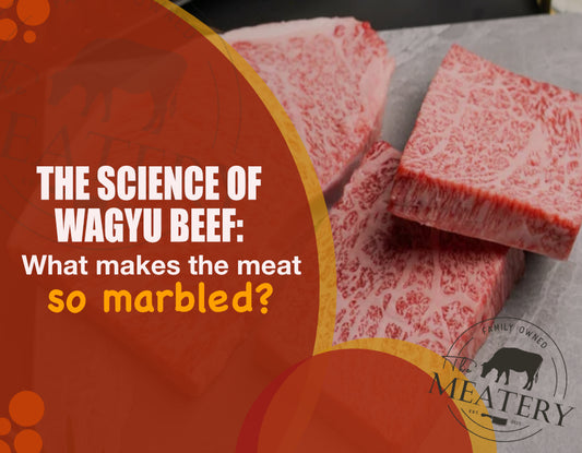 The Science of Wagyu Beef: What Makes the Meat so Marbled?