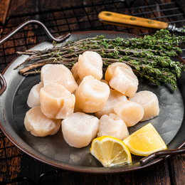 Wild Caught Scallops | 16 oz