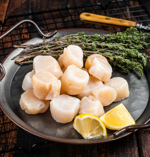 Wild Caught Scallops | 16 oz