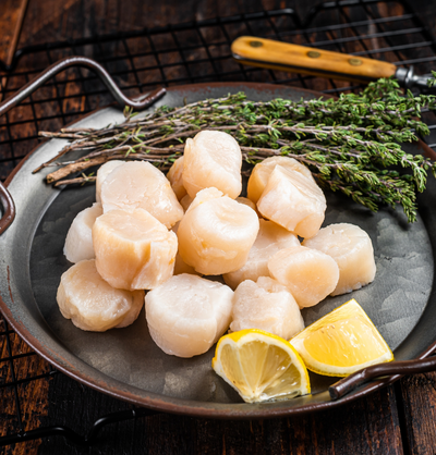 Wild Caught Scallops | 16 oz - The Meatery